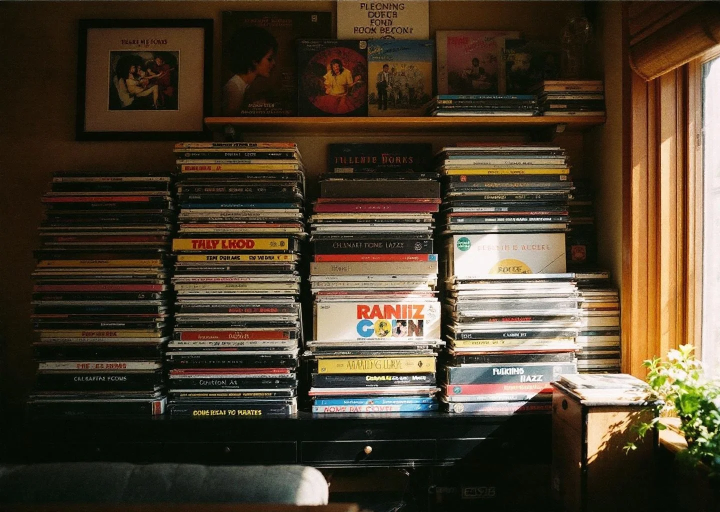 Estantería con discos de vinilo de rock clásico y jazz organizados por género, compra de colecciones en Gran Canaria