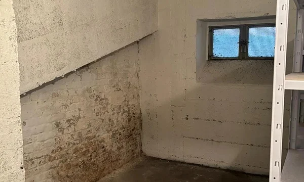 Después: sótano limpio y vacío tras vaciado profesional